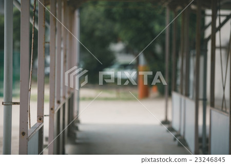 school, passage, junior high school 23246845