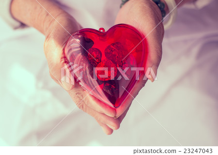 Red heart in senior's hands Red heart in senior's hands 23247043