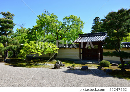 Nursery school Japanese garden (2016.4) Nursery school Japanese garden (2016.4) 23247362