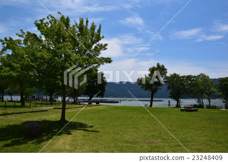 夏天的Koho 23248409