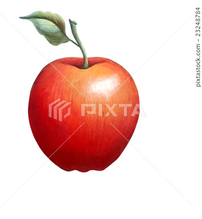 Apple Apple 23248784