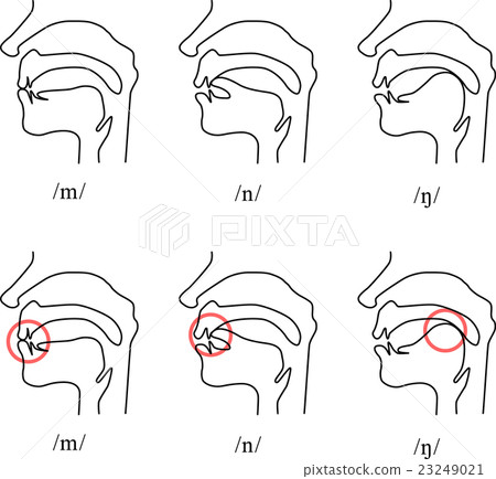 In the oral cavity at the time of English pronunciation (m, n, ng) 23249021