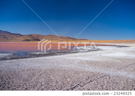Multicolored Salt Lake with flamingos on the Andes 23249325