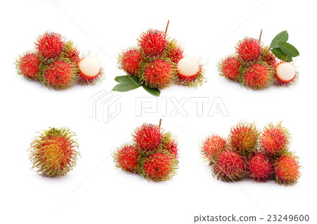rambutan fruit collection on white background rambutan fruit collection on white background 23249600