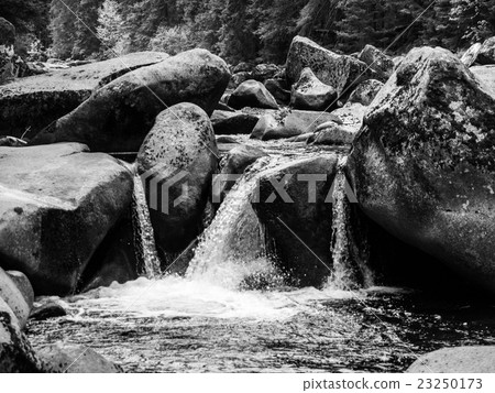 Wilderness of Vydra river Wilderness of Vydra river 23250173