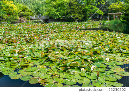 老紅磚大廈辦公室 23250202