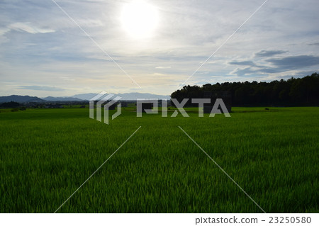 Aishocho Rural scenery Aishocho Rural scenery 23250580