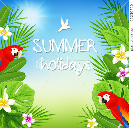 Tropical leaves and red parrots 23250720