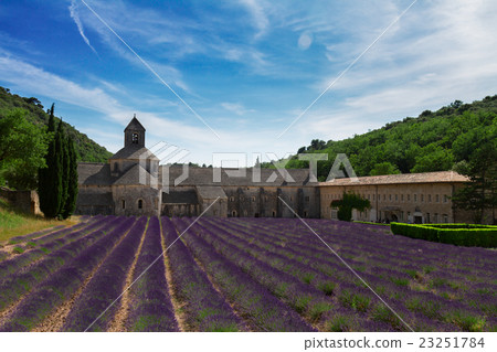 Abbey Senanque and Lavender field, France Abbey Senanque and Lavender field, France 23251784