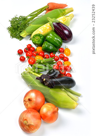 Attention) Small garbage and small scratches remain in the white of the background. Harvest image of vegetables. Attention) Small garbage and small scratches remain in the white of the background. Harvest image of vegetables. 23252439