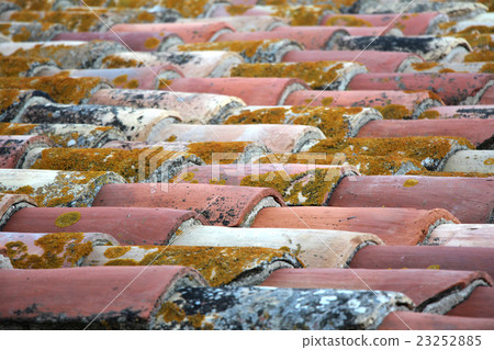 Old roof tiles 23252885