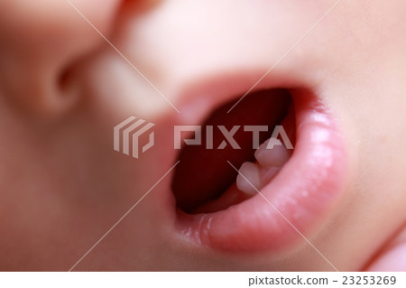 Baby teeth (baby baby front teeth infant children girls baby indoor indoor mouth macro up lip) Baby teeth (baby baby front teeth infant children girls baby indoor indoor mouth macro up lip) 23253269