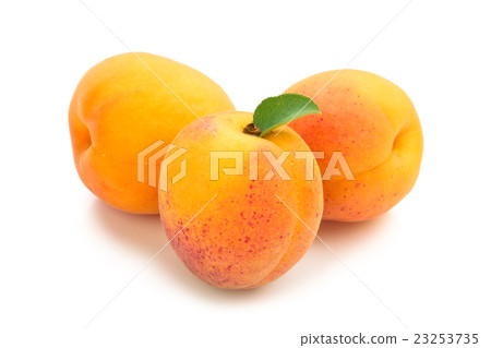 Fresh rpie apricots. Fresh rpie apricots. 23253735