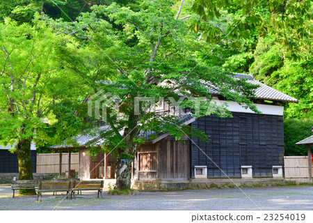 Rice treasure in Izunokuni city, Egawa residence 23254019