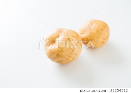 Potatoe baronet white back 23254912