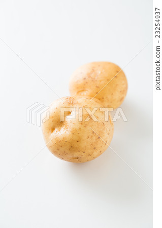 Potatoe baronet white back 23254937