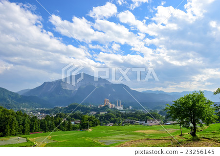 Terasaka rice paddy and Mt. 23256145