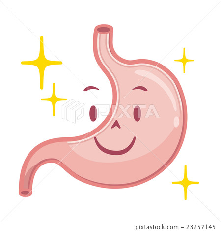 Stomach illustration 23257145