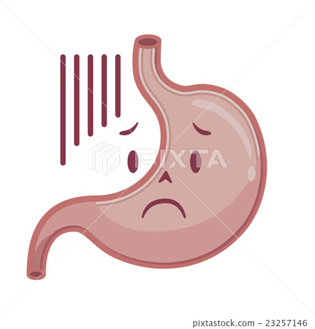 Stomach illustration 23257146
