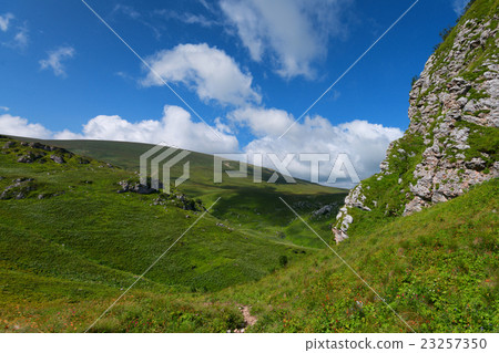 Mountain meadow Mountain meadow 23257350