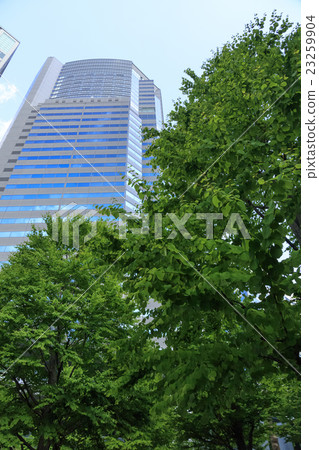 品川高層建築(五月) 品川高層建築(五月) 23259904