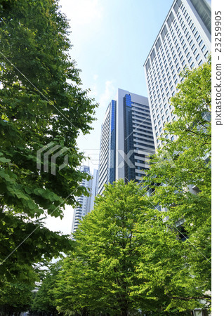 品川高層建築(五月) 品川高層建築(五月) 23259905