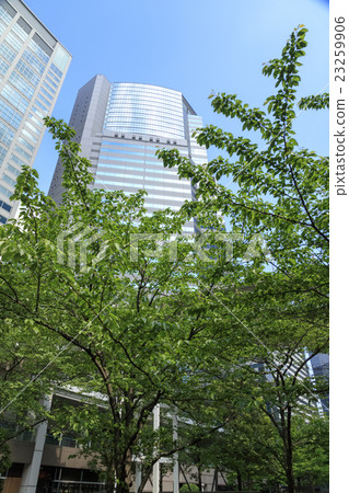 品川高層建築(五月) 品川高層建築(五月) 23259906