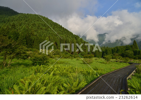 Oda Fusa mooring wood road 23262614