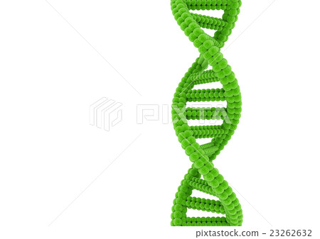 DNA green - Stock Illustration [23262632] - PIXTA