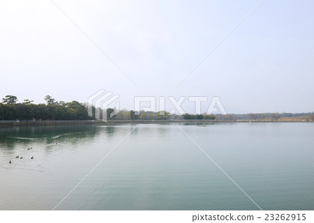 Koyoi公園 23262915