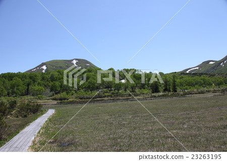 沼澤地 - 二世谷高原荒野 23263195