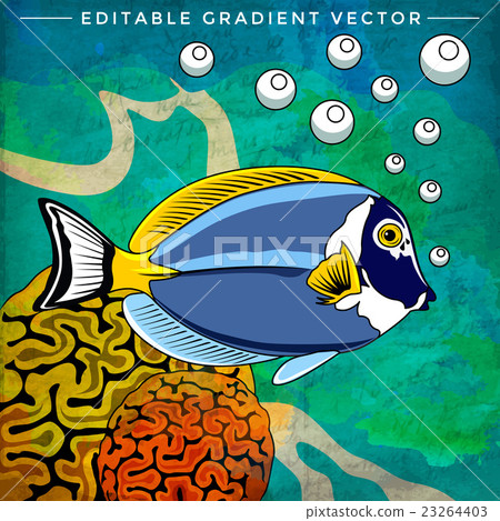 Colorful Aquarium Fish Colorful Aquarium Fish 23264403