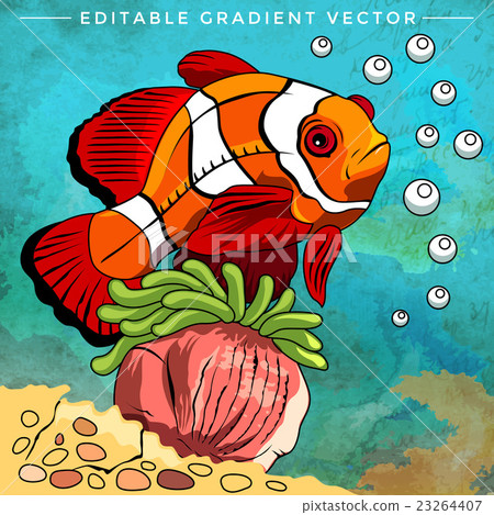 Colorful Aquarium Fish 23264407