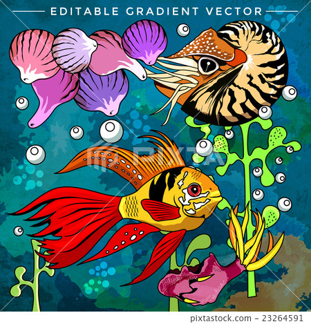 Colorful Aquarium Fishes Colorful Aquarium Fishes 23264591