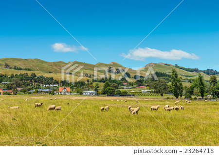 Hill view farm rural area 23264718