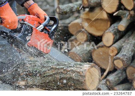 Chainsaw and tree 23264787