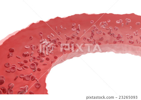 Red blood cells in cut flowing through veins from Red blood cells in cut flowing through veins from 23265093