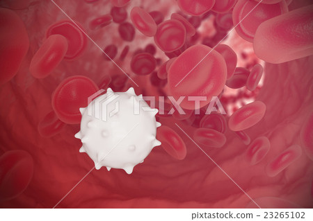 Red and white blood cells flowing through veins Red and white blood cells flowing through veins 23265102