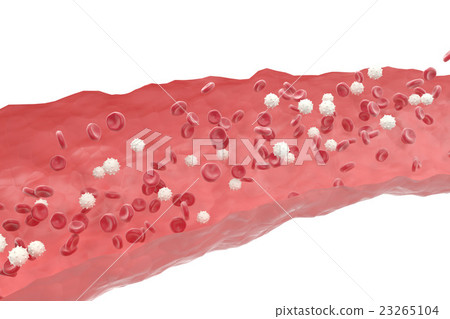 Red and white blood cells in cut flowing through Red and white blood cells in cut flowing through 23265104