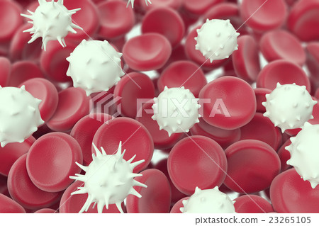 White blood cell medical or microbiological White blood cell medical or microbiological 23265105