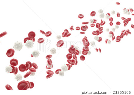 Red and white blood cells isolated on white 23265106