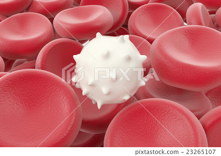 White blood cell medical or microbiological 23265107