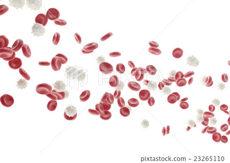 Red and white blood cells isolated on white 23265110