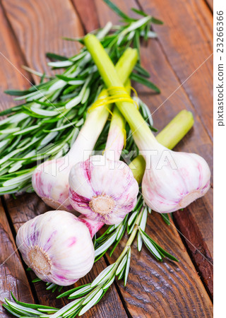 garlic and rosemary garlic and rosemary 23266366