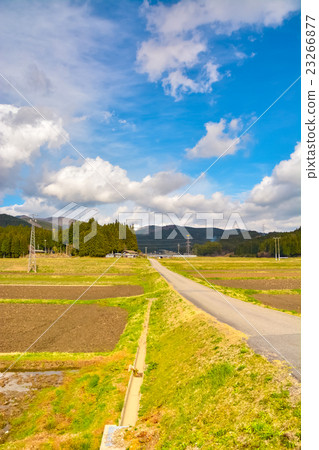 早春鄉村景觀（49） 23266877