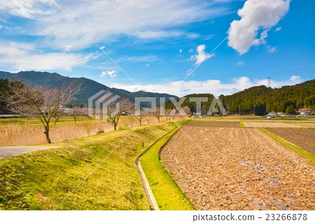 Rural landscape of early spring (50) Rural landscape of early spring (50) 23266878