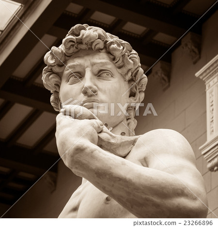 The statue of David by italian artist Michelangelo 23266896