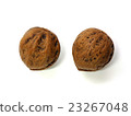  Walnut 23267048