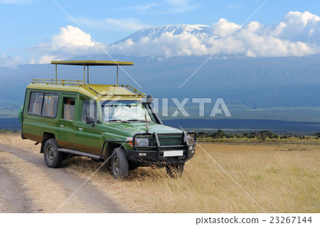 Safari game drive 23267144