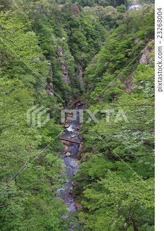 從大Fukasawa橋樑看見的新鮮的綠色Naruko峽谷 23268004